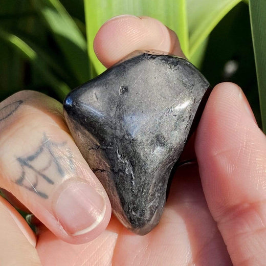 Dolphin Minerals Gemstone Shungite Gemstone