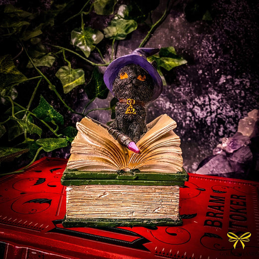 Binx Small Witches Familiar Black Cat and Spellbook Trinket Box