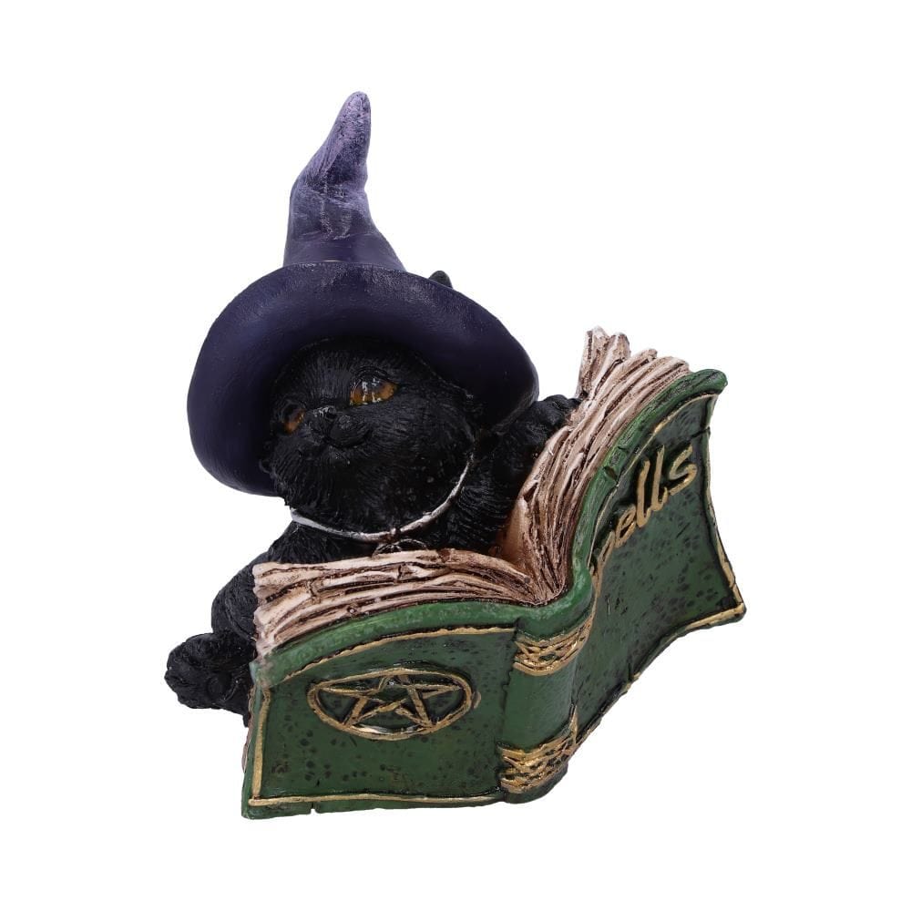 Nemesis Now Cat Figurine Kitty's Grimoire Green U5712U1