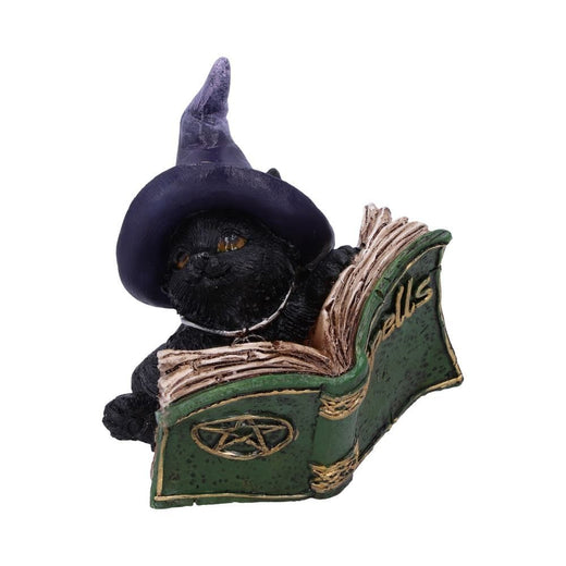Nemesis Now Cat Figurine Kitty's Grimoire Green U5712U1