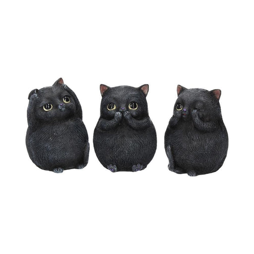 Nemesis Now G/Gifts Three Wise Fat Cats B3655J7