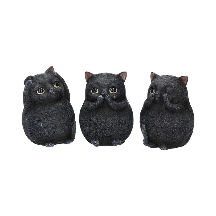 Nemesis Now G/Gifts Three Wise Fat Cats B3655J7