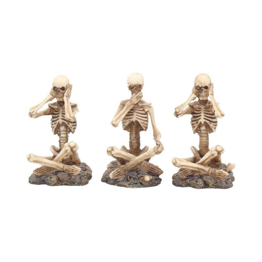 Three Wise Skeletons