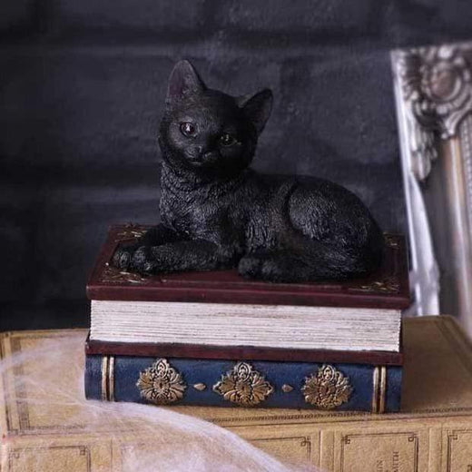 Salems Spells Witches Familiar Black Cat and Spellbook Box