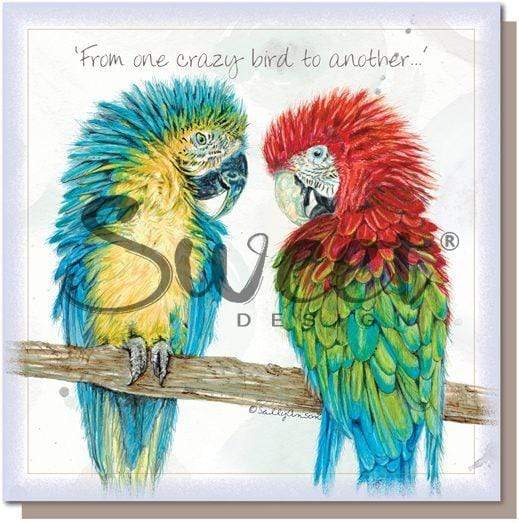 Crazy Bird Card